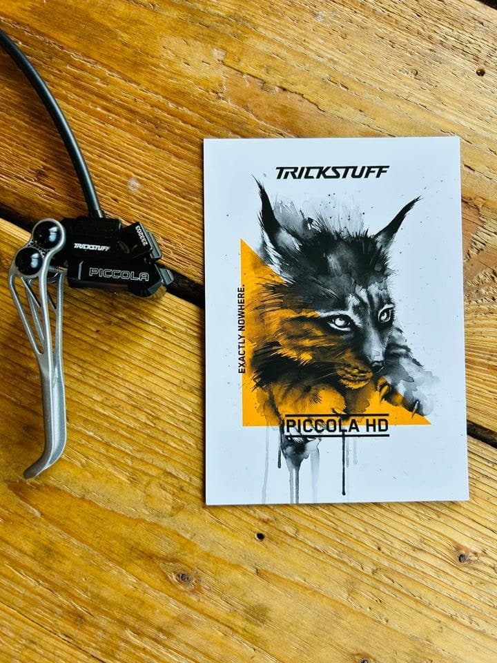 kit de freins Trickstuff Piccola HD Titanium à Bressuire — 785 €